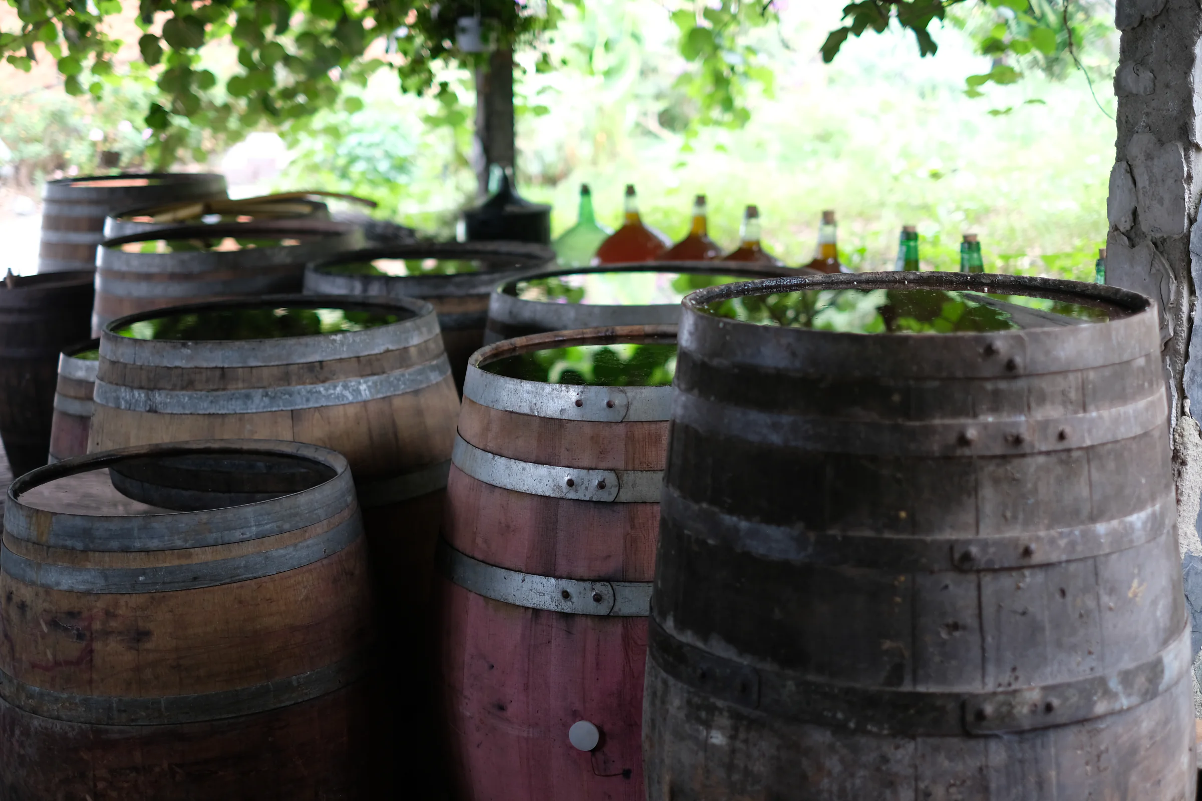 Wooden barrels and glass demijohns outside Claudio's house.